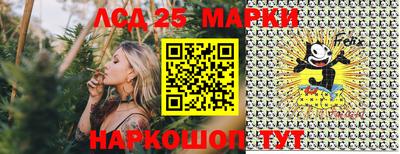 гидропоника Камышлов