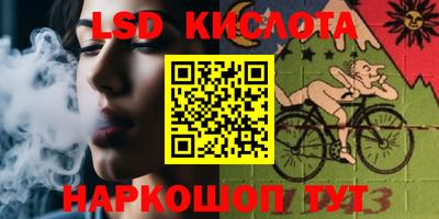 гидропоника Камышлов