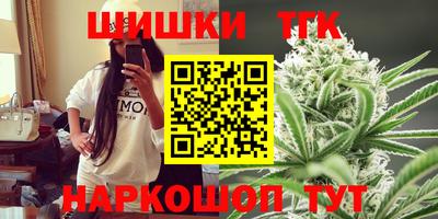 гидропоника Камышлов