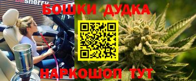 гидропоника Камышлов